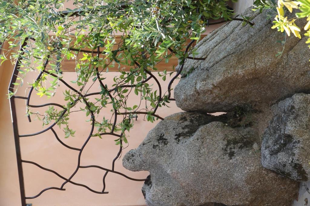 A Licetta Porto-Vecchio (Corsica)